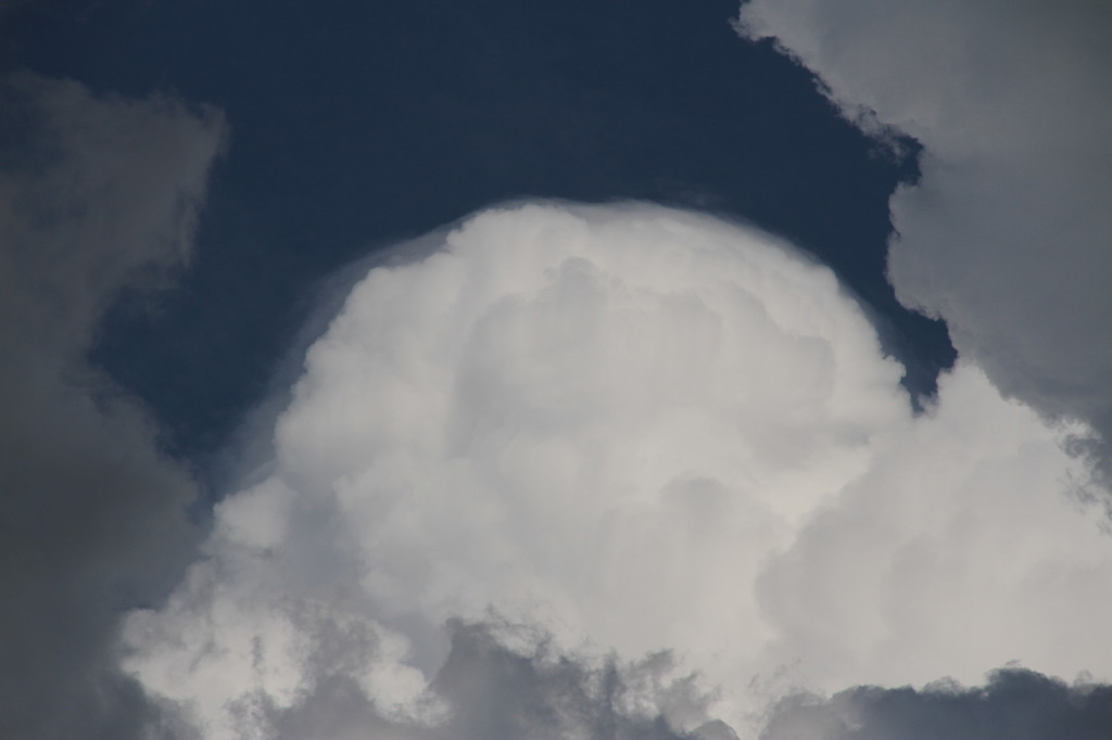 薄皮饅頭雲
