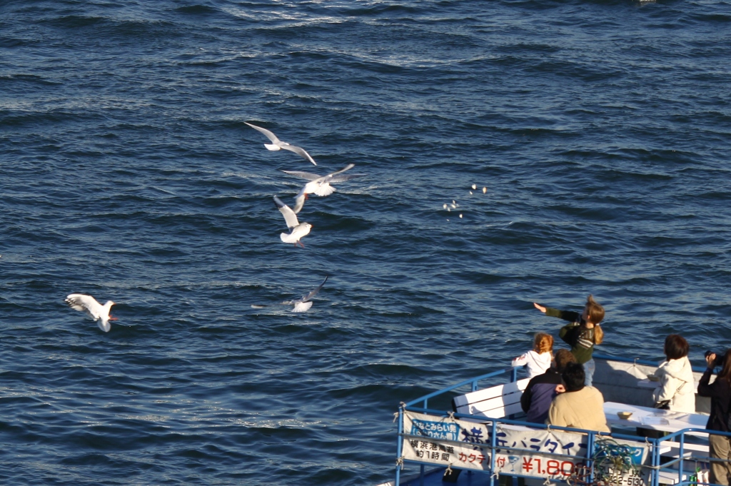 キャッチしてね！