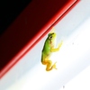 夜の稼ぎ時