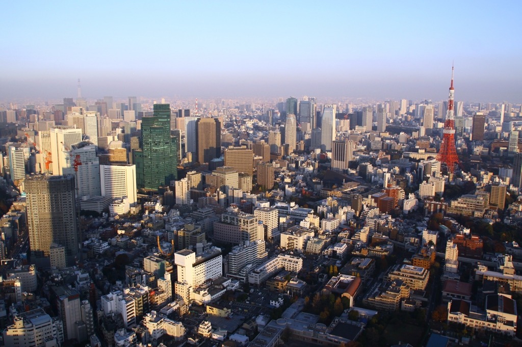 二大巨塔の攻防