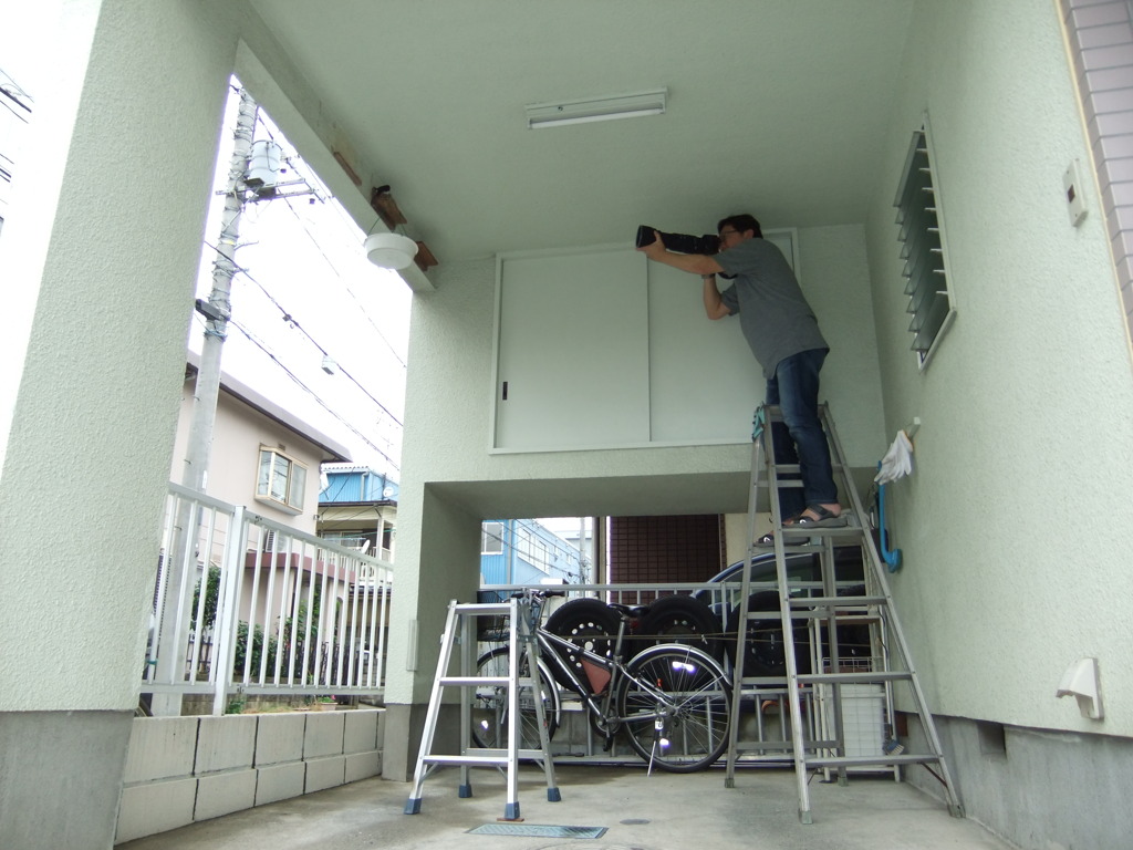 ツバメ撮影会（本人編）