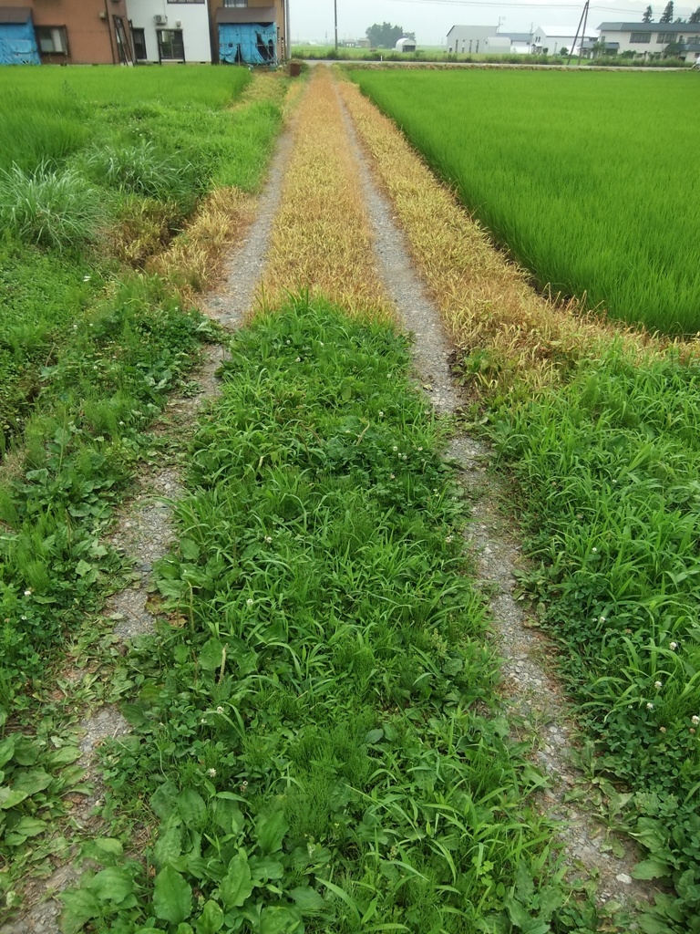 ここから先は・・・