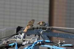 文句あんのか、ワレ！