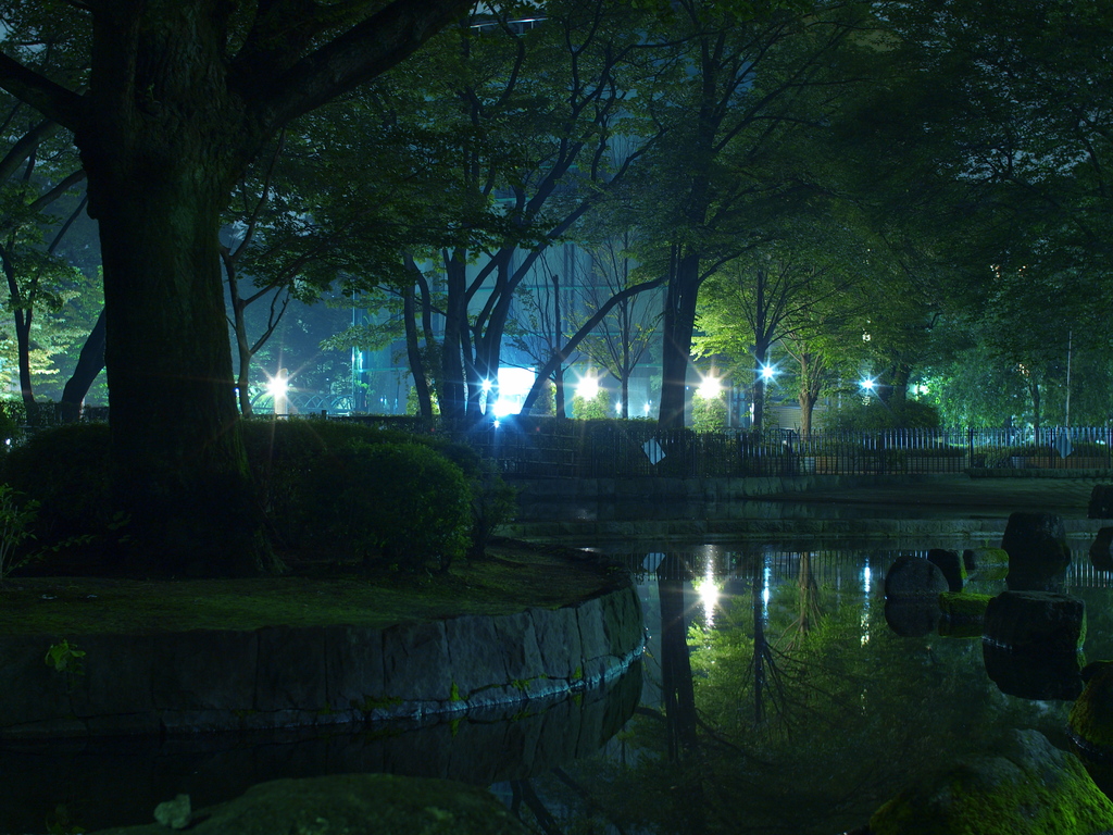 夜の公園