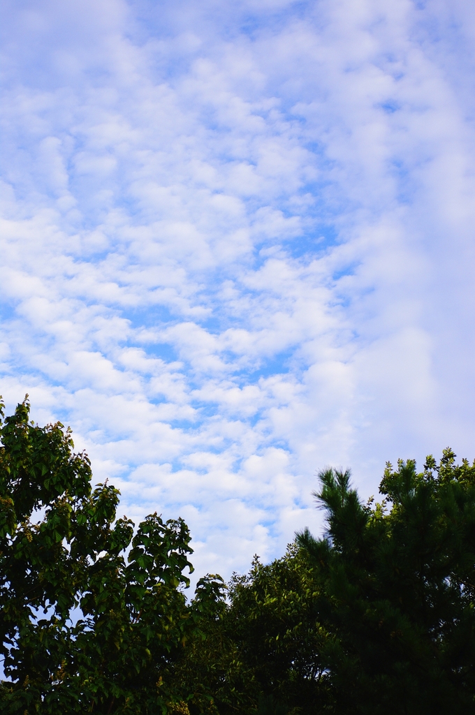 雨上がりの空