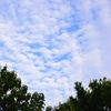 雨上がりの空