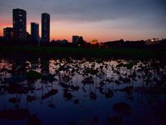 弁天堂夕景