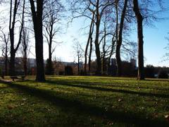 冬の陽(ラインフェルデン)