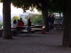 チューリッヒの若者