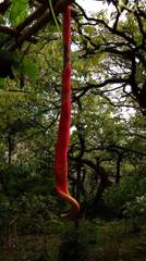 稔り２(へびうり)