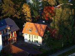 アーレ河畔の紅葉