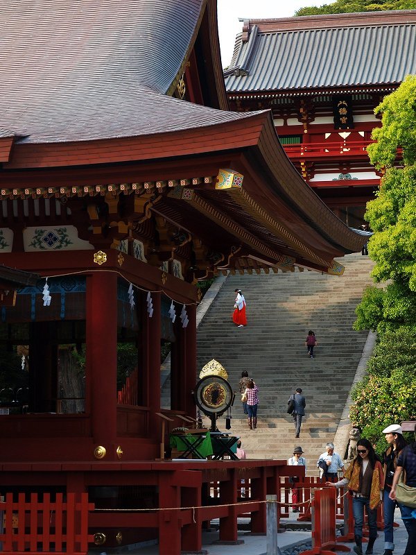 巫女さんが行く