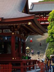 巫女さんが行く