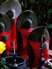 北鎌倉・明月院にて