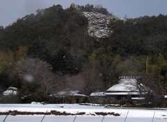 雪の嵯峨野