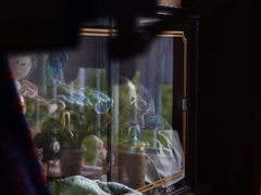 ケースの中のスープおばさん