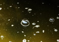 うたかたの中の風景