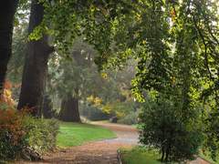 朝の公園(シャウハウゼン)