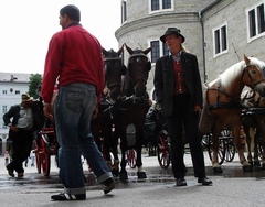 御者(ザルツブルグ)