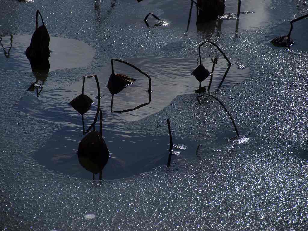 薄氷