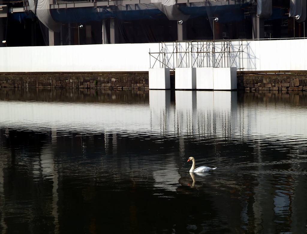 工事中の和田倉濠