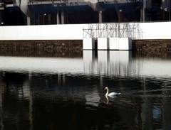 工事中の和田倉濠