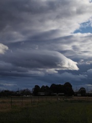 冬空（嵯峨野）