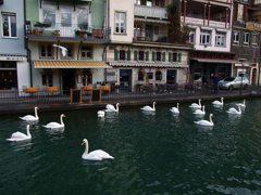 白鳥の川(トゥーン)