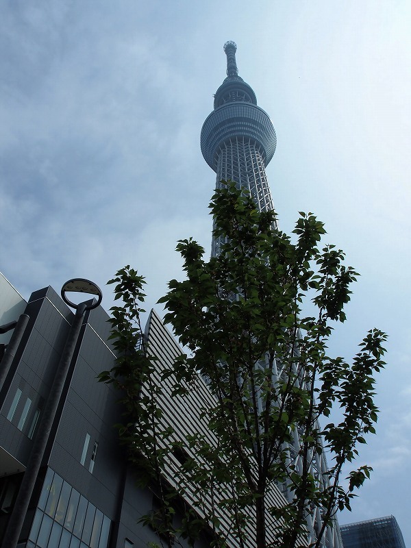 開場間近