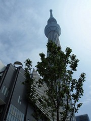 開場間近