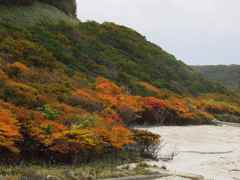 ツツジの紅葉(恵山)
