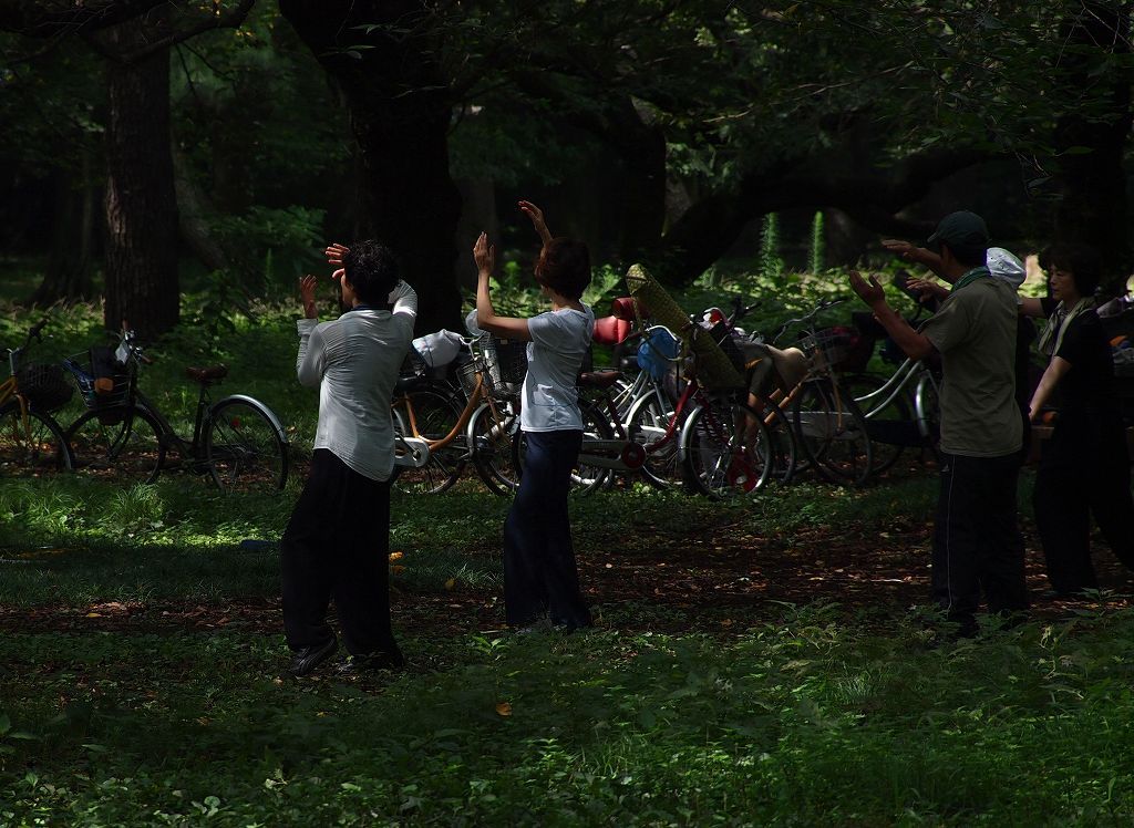 木陰の太極拳