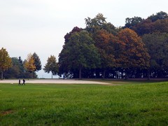 黄葉早いグルテン山