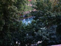 アーレ川の水面