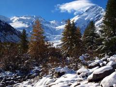 落葉松疎林(モルテラッチ)