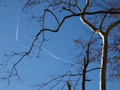 空の交差点(ラインフェルデン)