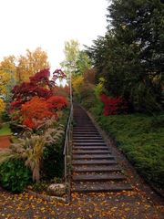 日本庭園(シャウハウゼン)