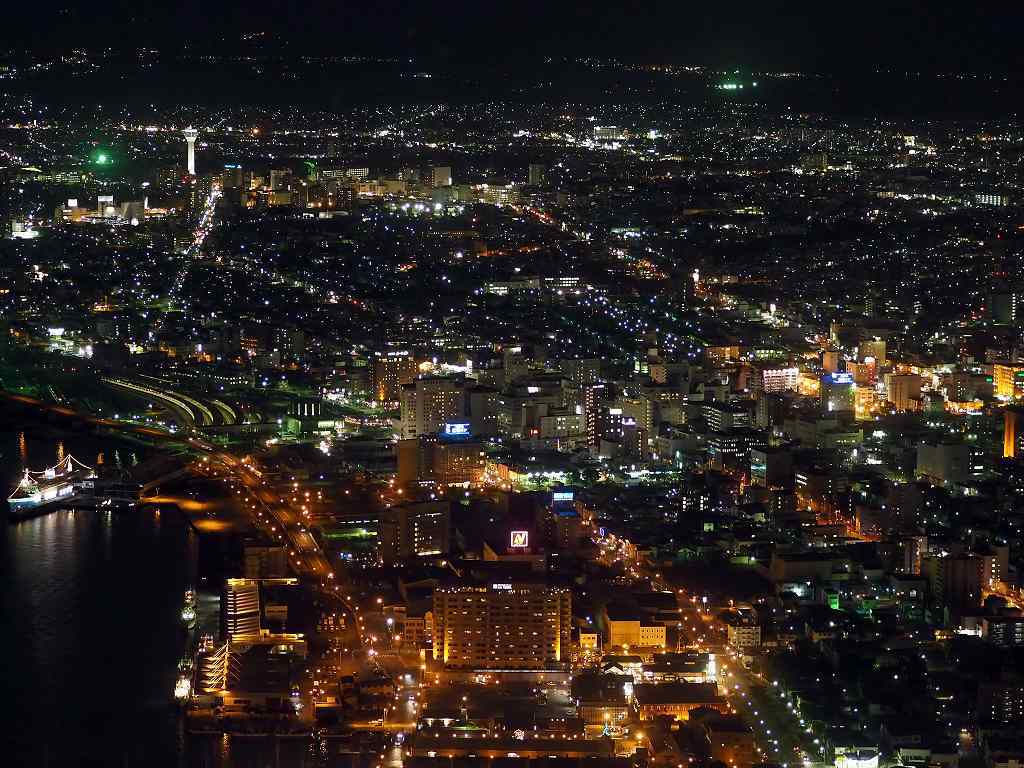 函館山から函館駅方面を望む