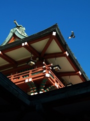 神の使い「富岡八幡」