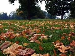 ベルン市東端のグルテン山