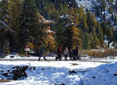 モルテラッチ駅付近のトレイル