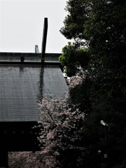 雨の靖国神社