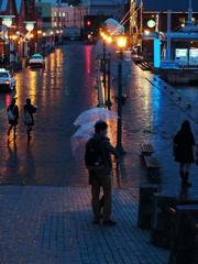 雨の旅情