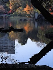 秋の終わりの佇まい（小石川後楽園）