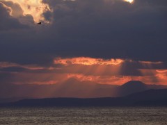 函館湾夕景