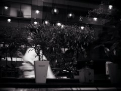 東京・銀座ママの出勤風景