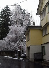 冬の街角(アッペンツェル)