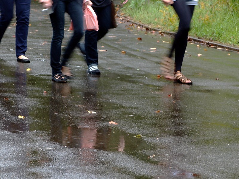 ピチピチチャプチャプ・・