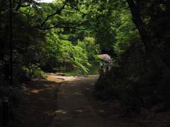 「みどりの日」の三四郎池