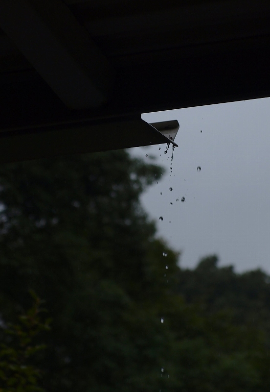 秋雨前線